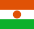 Niger flag